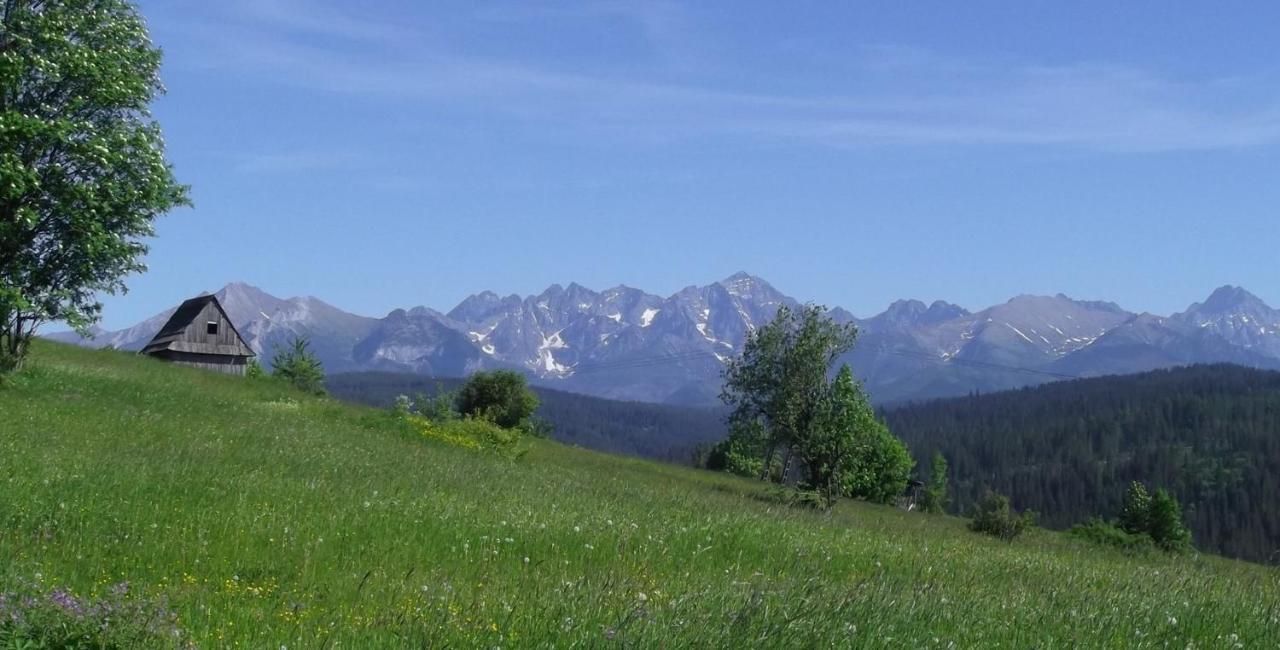 Willa Na Olczanskim Wierchu Bukowina Tatrzańska Esterno foto